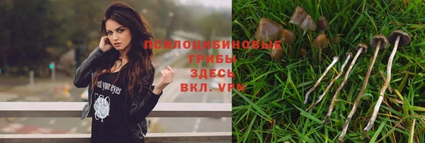 MDMA Premium VHQ Зеленодольск