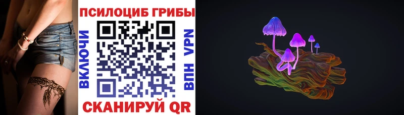 Галлюциногенные грибы Cubensis  Купить где  Нарткала 
